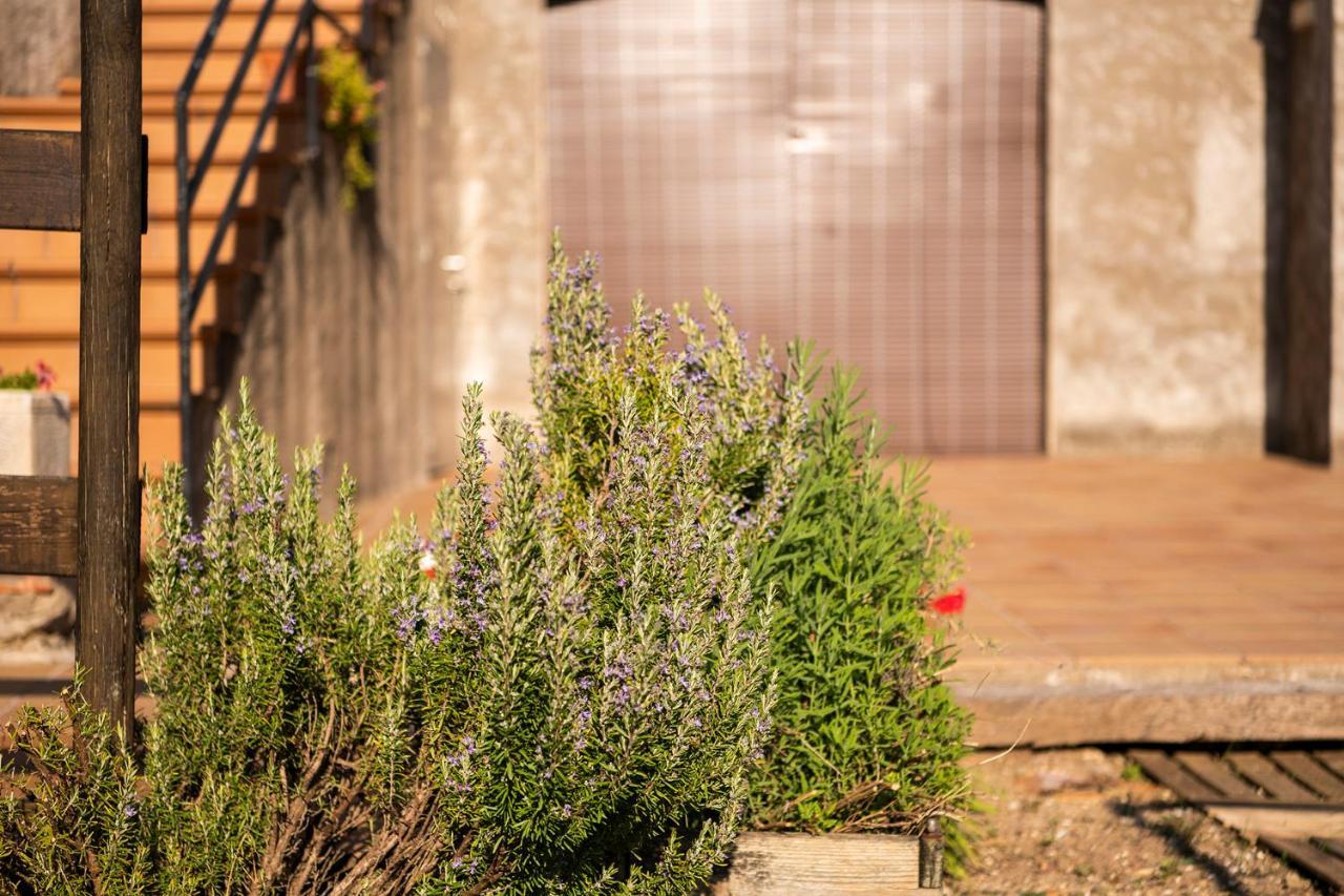 Casa Rural, Can Cirera Seriñá Exterior foto